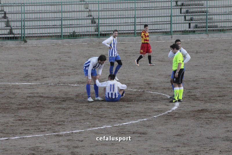 111218 Cerda 069_tn.jpg